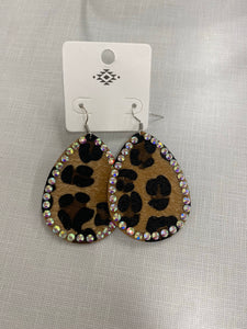 Leopard with stones